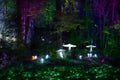 Night lights show `Inspiration` in Ostankino garden city park. Hundreds of lights in the forest. Amazing 3d light and laser illumi