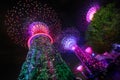 Super Trees at Gardens By The Bay, Singapore