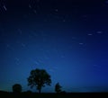 Night lonely tree falling stars
