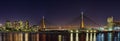 Night long exposure of the Anzac Bridge taken from the White Bay cruise terminal in Sydney, Australia Royalty Free Stock Photo