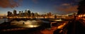 Night manhattan panorama Royalty Free Stock Photo