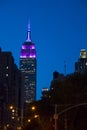 Night in metropolis midtown New York city building dusk skyline