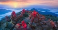 Night misty mountains Royalty Free Stock Photo