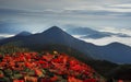 Night misty mountains Royalty Free Stock Photo