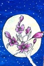 Night. Moon. The cherry blossoms. Pink flower
