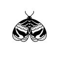 Night moth doodle icon, traditional vector illustration