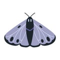 Night moth, insect with wings, cartoon style. Trendy modern vector illustration isolated on white background, hand drawn Royalty Free Stock Photo