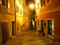 Night motif and a typical small street in the old town of Motovun - Istria, Croatia / Nocni motiv i tipicna mala ulica u staroj Royalty Free Stock Photo