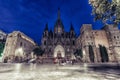 Night movings near Cathedral of the Holy Cross and Saint Eulalia, Barcelona, Catalonia, Spain