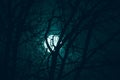 Night mysterious landscape in cold tones - silhouettes of the bare tree branches against the full moon and dramatic cloudy night s Royalty Free Stock Photo