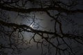 Night mysterious landscape silhouettes of the bare tree branches against the full moon and dramatic night sky Royalty Free Stock Photo