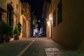 Night narrow street of old town center, decorated with flower pots. Royalty Free Stock Photo