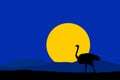 Night nature vector with black silhouette ostrich