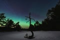 Night outdoor scene in Estonia in winter. Dry tree in the forest, sky with stars and northern lights Royalty Free Stock Photo