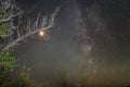 Tree branch full moon and milky way