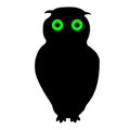 Night owl with shining green eyes on a white background