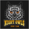 Night Owls - sport team. Head mascot Royalty Free Stock Photo
