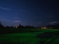 Night at paddy fields