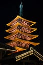 Night Pagoda