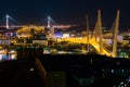 Night panorama of the city of Vladivostok Royalty Free Stock Photo