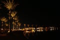 Night panorama with view of illuminated palm trees on seacoast of Hurghada. Tropical resort