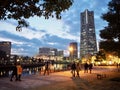 Night Panorama of Yokohama Royalty Free Stock Photo