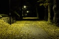 Night park with alley late autumn