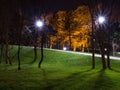 Night in the park Royalty Free Stock Photo