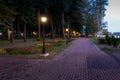 A night park lit by lanterns with a stone pavement, trees, fallen leaves and benches in early autumn Royalty Free Stock Photo