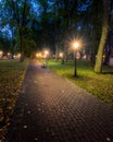 A night park lit by lanterns with a stone pavement, trees, fallen leaves and benches in early autumn Royalty Free Stock Photo