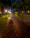 A night park lit by lanterns with a stone pavement, trees, fallen leaves and benches in early autumn Royalty Free Stock Photo