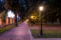 A night park lit by lanterns with a stone pavement, trees, fallen leaves and benches in early autumn Royalty Free Stock Photo