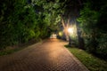 A night park lit by lanterns with a stone pavement, trees, fallen leaves and benches in early autumn Royalty Free Stock Photo