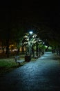 Night in park Royalty Free Stock Photo