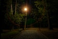 Night park paved road walking side lantern lamp illumination with light glare effect and lonely empty bench in nobody here in dark Royalty Free Stock Photo