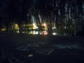 Night park with a pond and drawing on asphalt. Landscape with a glowing lanterns and tree branches.