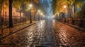 Night park after rain, illuminated by lanterns Royalty Free Stock Photo