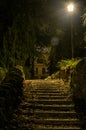 Night park with steps and a burning lantern Royalty Free Stock Photo