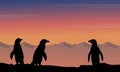 At night penguin silhouette beauty landscape