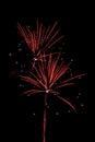 Populous festive fireworks