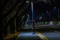 Night photo of empty four lane street