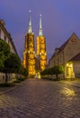Night photo of St. John`s cathedral, Wroclaw, Poland Royalty Free Stock Photo