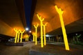 Night photography of artwork `Aspire` trees sculpture gleams bright and gold under the concrete of freeway at Ultimo NSW.