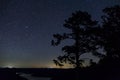 Night Photography of Shooting stars across starlit sky