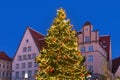 Night picturesque view of the Christmas tree on the famous Town Hall Square in the historical part of Tallinn. Royalty Free Stock Photo