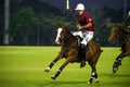 The Night Polo Game