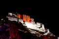 Night at the potala palace in Tibet