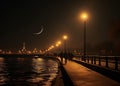 night promenade at sea on summer starry night and moon,on horizon city blurred light ,people walk