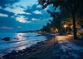 night promenade at sea on summer starry night and moon,on horizon city blurred light ,people walk