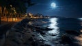 night promenade at sea on summer starry night and moon,on horizon city blurred light ,people walk